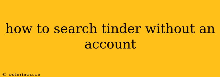 how to search tinder without an account