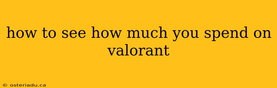 how to see how much you spend on valorant