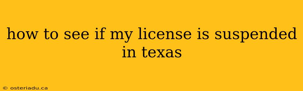 how to see if my license is suspended in texas