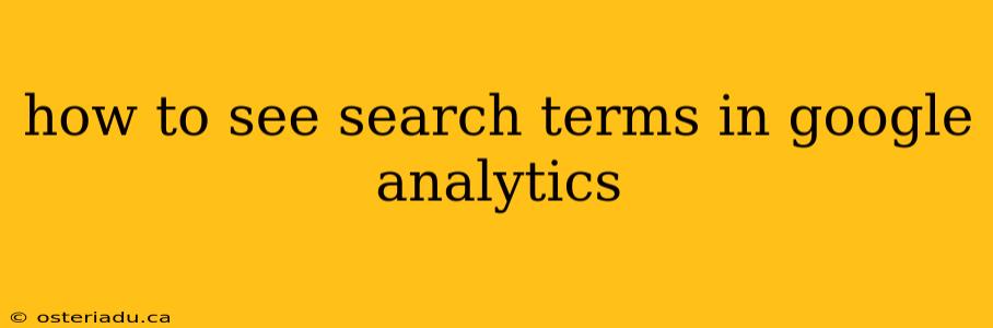 how to see search terms in google analytics