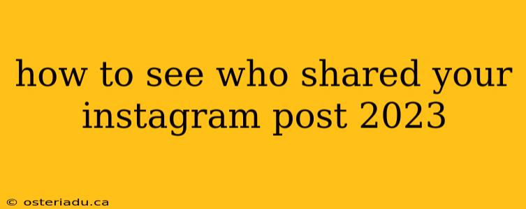 how to see who shared your instagram post 2023