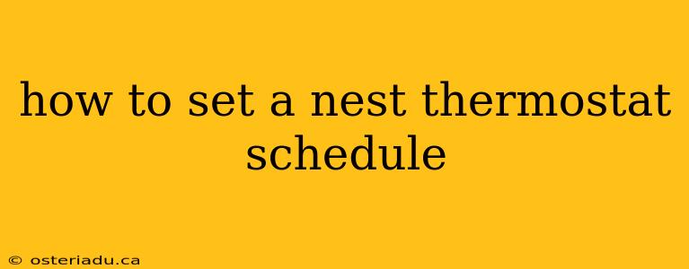 how to set a nest thermostat schedule