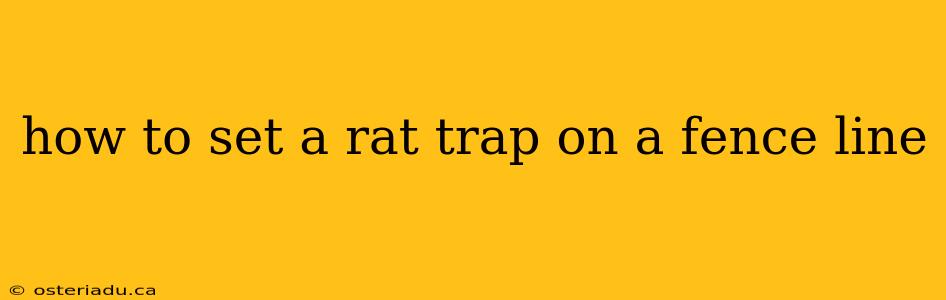 how to set a rat trap on a fence line