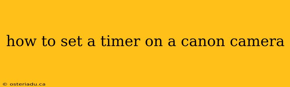 how to set a timer on a canon camera