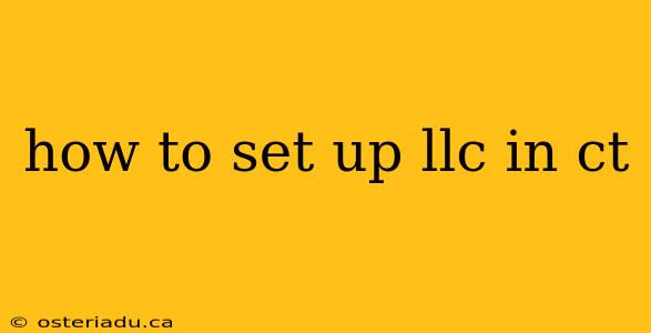 how to set up llc in ct