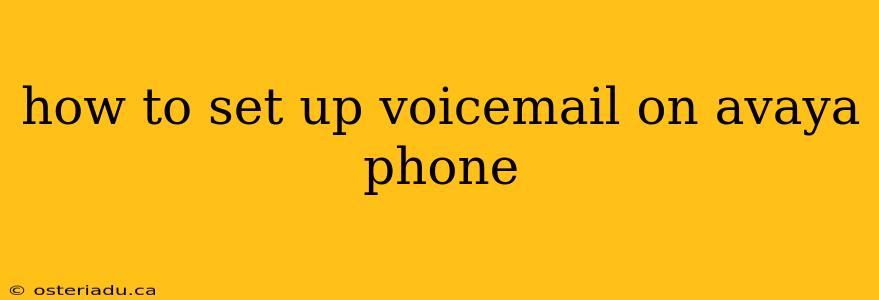 how to set up voicemail on avaya phone