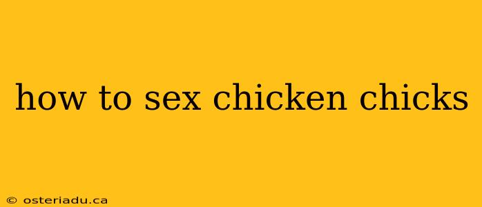 how to sex chicken chicks