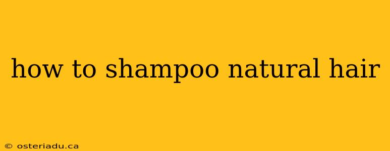 how to shampoo natural hair