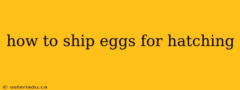 how to ship eggs for hatching