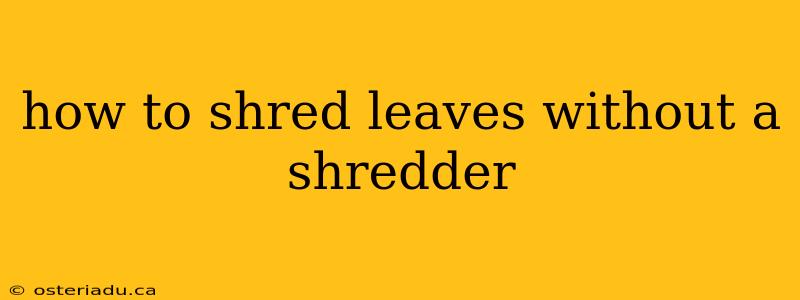 how to shred leaves without a shredder