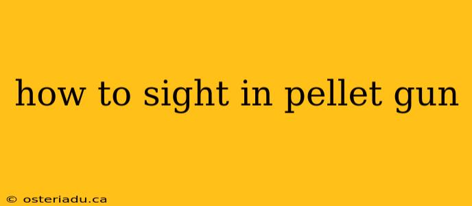 how to sight in pellet gun