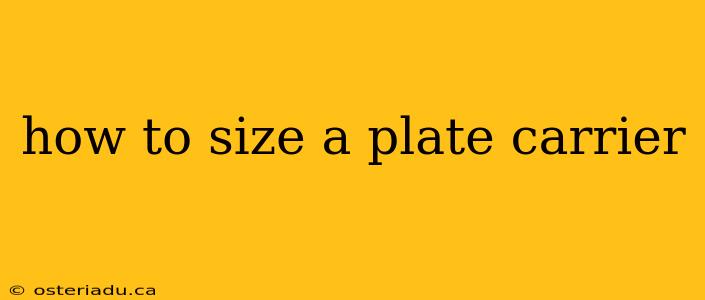 how to size a plate carrier