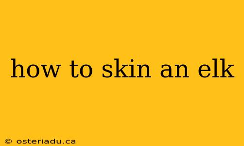 how to skin an elk