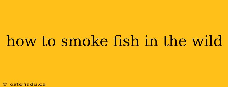 how to smoke fish in the wild