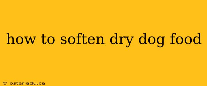 how to soften dry dog food