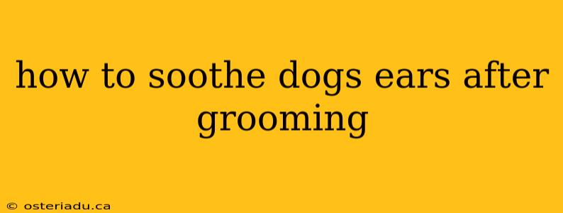 how to soothe dogs ears after grooming