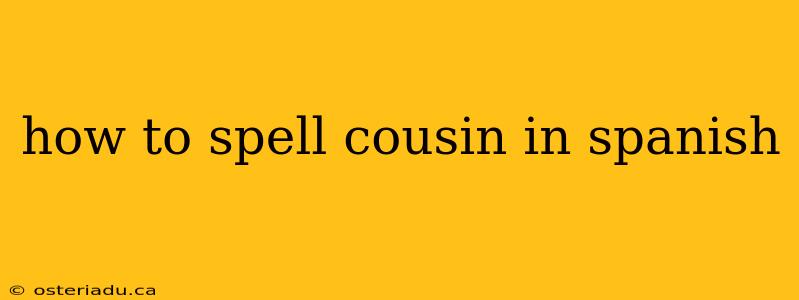 how to spell cousin in spanish