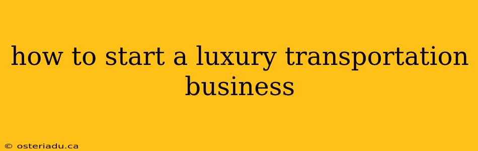 how to start a luxury transportation business