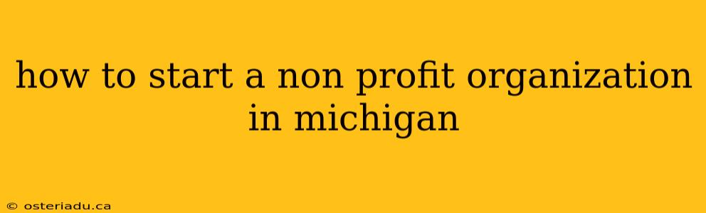 how to start a non profit organization in michigan