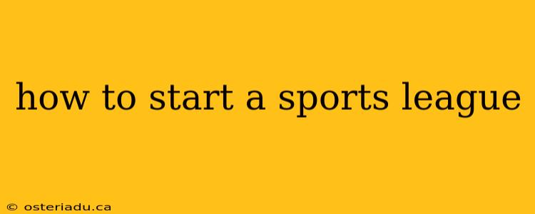 how to start a sports league