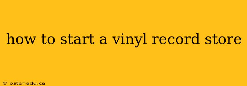 how to start a vinyl record store