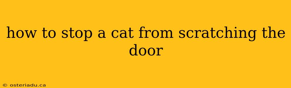 how to stop a cat from scratching the door