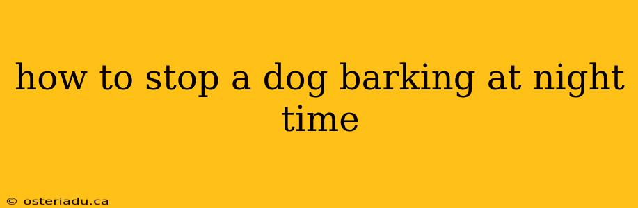 how to stop a dog barking at night time