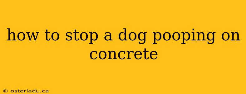 how to stop a dog pooping on concrete