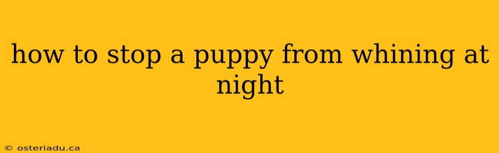 how to stop a puppy from whining at night