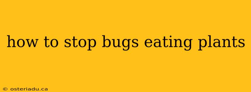 how to stop bugs eating plants