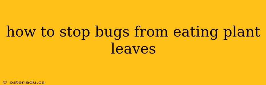 how to stop bugs from eating plant leaves