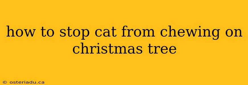 how to stop cat from chewing on christmas tree