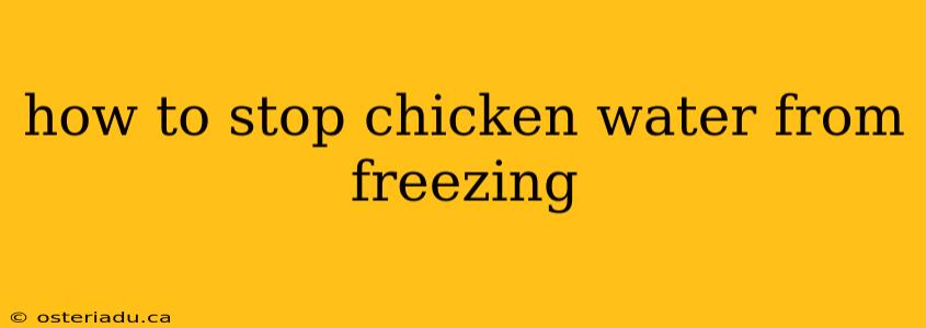 how to stop chicken water from freezing