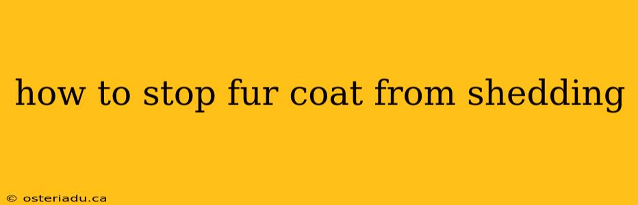 how to stop fur coat from shedding