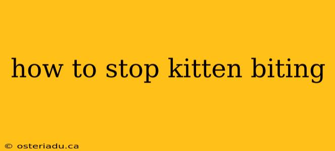 how to stop kitten biting