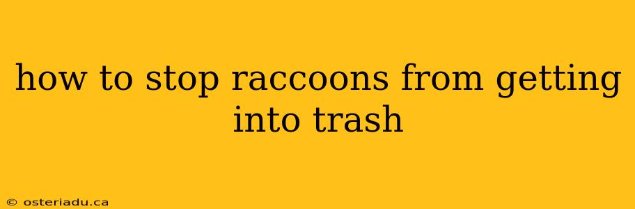 how to stop raccoons from getting into trash