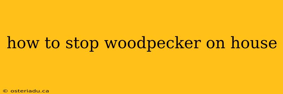 how to stop woodpecker on house