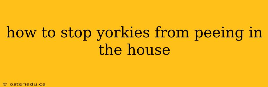 how to stop yorkies from peeing in the house