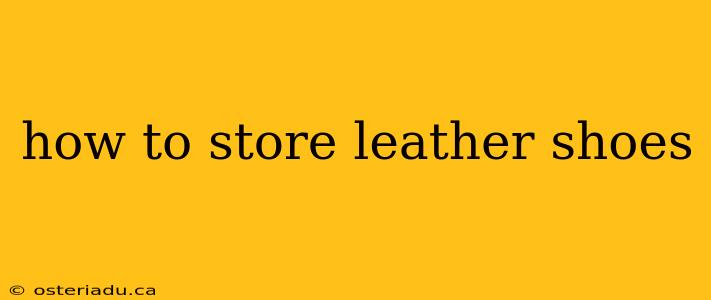 how to store leather shoes