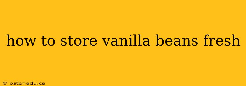 how to store vanilla beans fresh