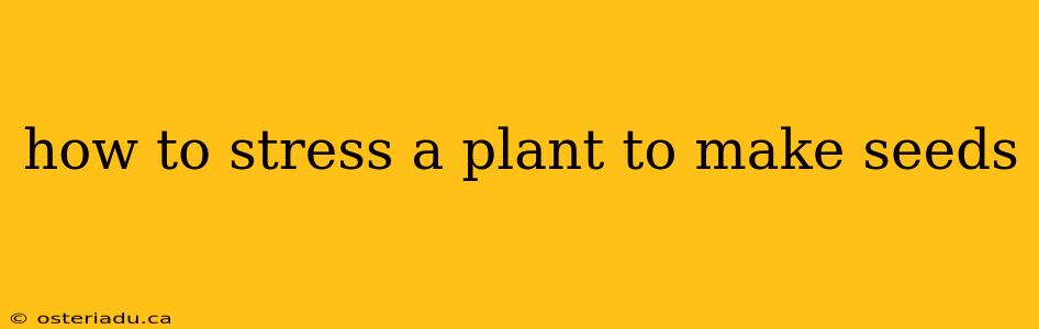 how to stress a plant to make seeds