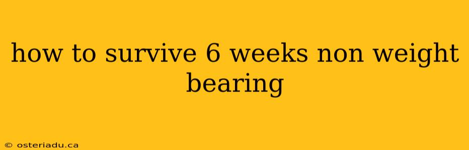 how to survive 6 weeks non weight bearing