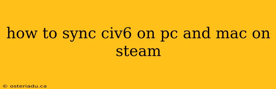 how to sync civ6 on pc and mac on steam