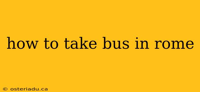 how to take bus in rome