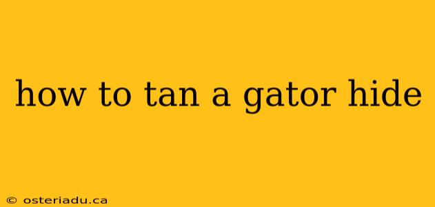 how to tan a gator hide