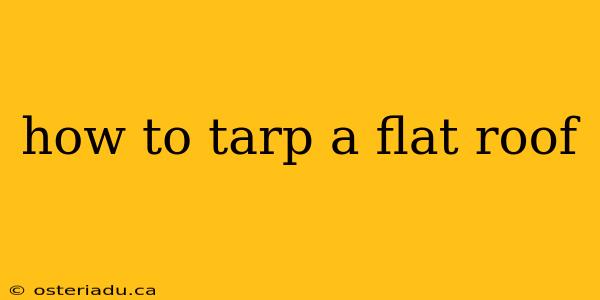 how to tarp a flat roof