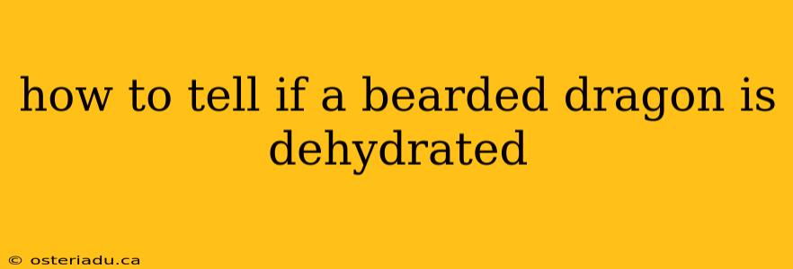 how to tell if a bearded dragon is dehydrated