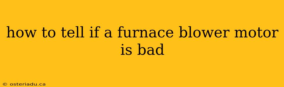 how to tell if a furnace blower motor is bad