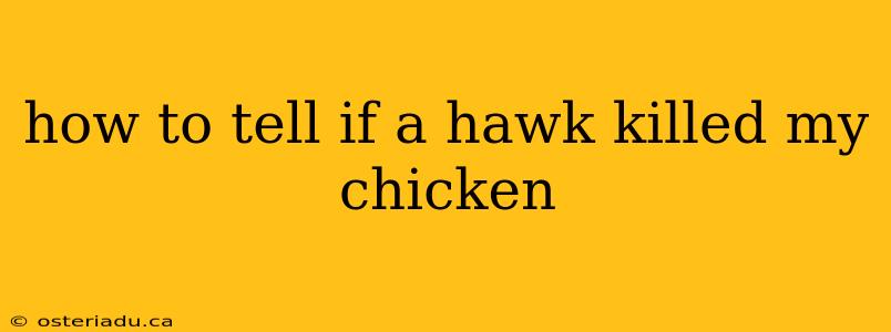 how to tell if a hawk killed my chicken