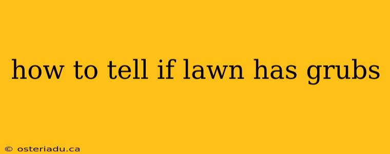 how to tell if lawn has grubs